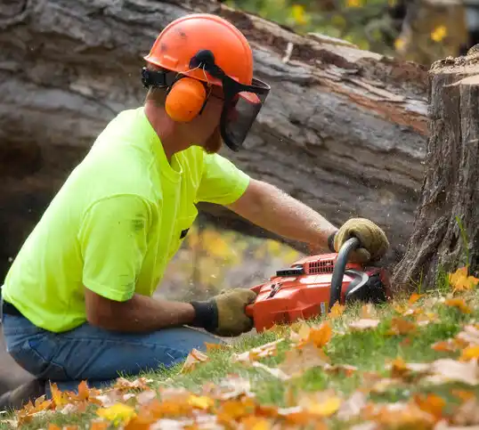 tree services Berea